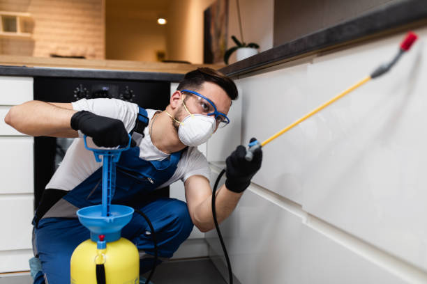 Best Pest Control Near Me in Zachary, LA