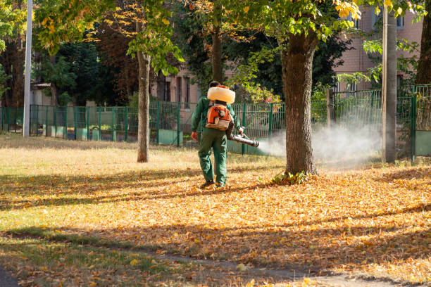 Pest Prevention Services in Zachary, LA