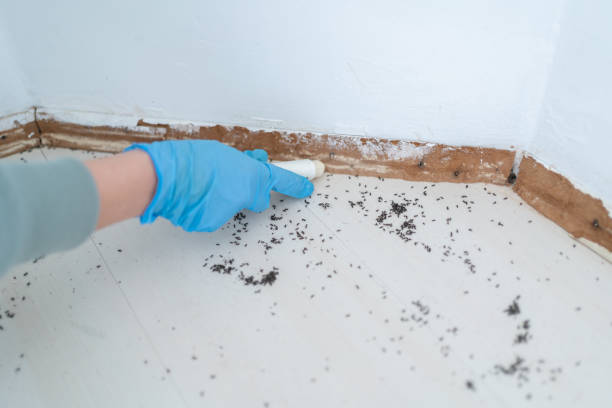 Best Residential Pest Control  in Zachary, LA